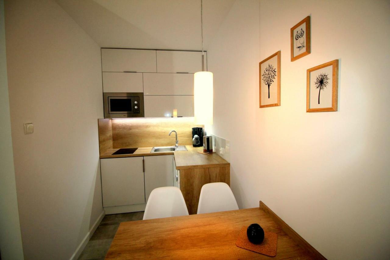 Apartamenty Podgorze Schreiberhau Exterior foto